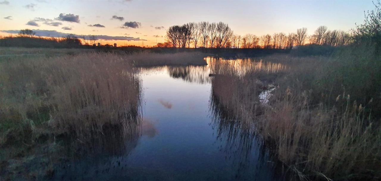 Inntermezzo Almere Luaran gambar