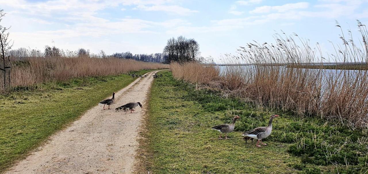 Inntermezzo Almere Luaran gambar